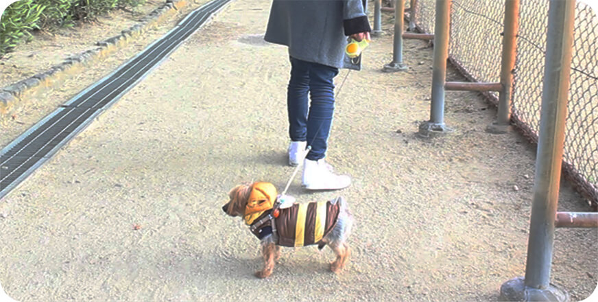 当サイトについて